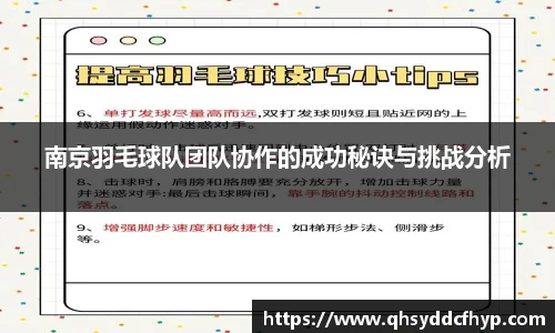 南京羽毛球队团队协作的成功秘诀与挑战分析